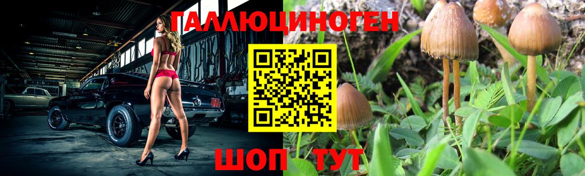 Бор  Псилоцибиновые грибы MAGIC MUSHROOMS  даркнет сайт  Вход с VPN 